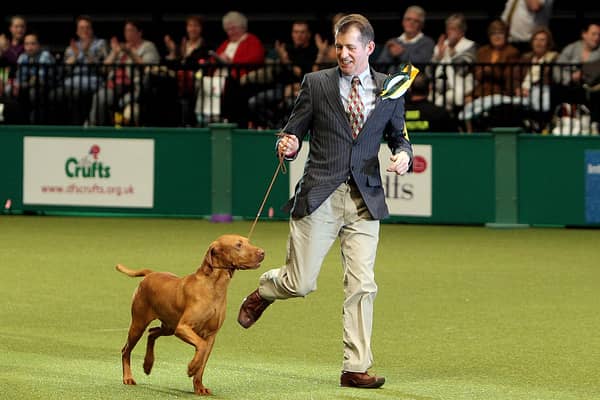 The Kennel Club is celebrating its 150th year in 2023. (Photo by Dan Kitwood/Getty Images)