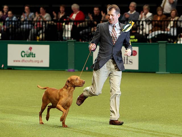 The Kennel Club is celebrating its 150th year in 2023. (Photo by Dan Kitwood/Getty Images)