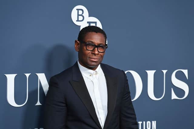 David Harewood  (Photo by Kate Green/Getty Images)