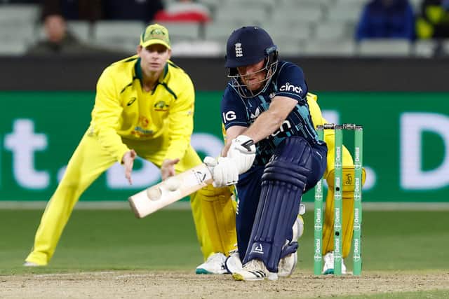 England vs Australia (Photo by Darrian Traynor/Getty Images)