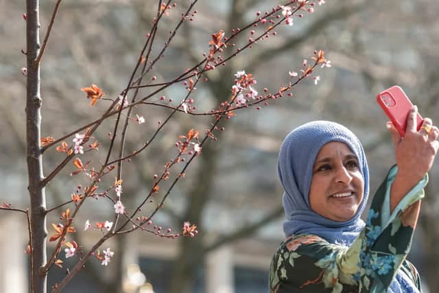 National Trusts plants cherry blossom trees in Birmingham City Centre during the Commonwealth Games 