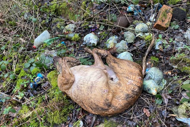 The dog was dumped at a site in Walsall