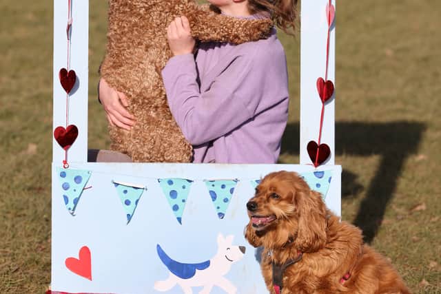 Pop up Doggy Kissing Booth coming to Solihull for Valentine’s Day