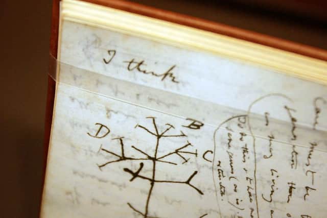 A “Tree of Life” sketch is seen in Darwin’s “B” notebook  (Photo by Mario Tama/Getty Images)