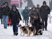 Dogs and their owners arrive at a very snowy Crufts dog show in Birmingham , with the forecast warning of more to come (Photo by Christopher Furlong/Getty Images)