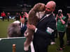 Crufts 2024: are tickets for next year’s event available yet and when will it take place?