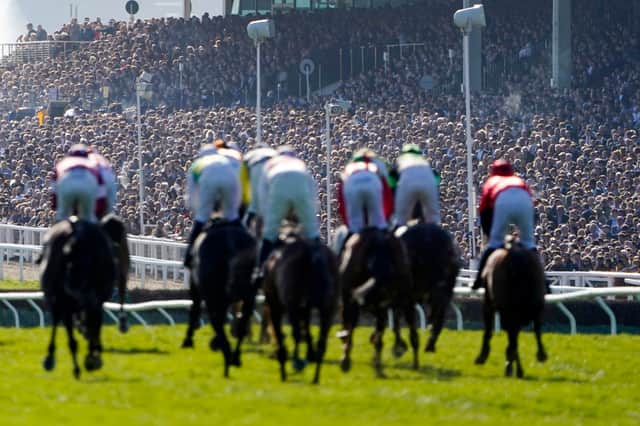 Spectators are seen in the grandstand at the Cheltenham Festival