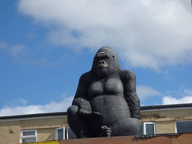 Stirchley Gorilla, Pershore Road (Photo - Elliott Brown/ Creative Commons)