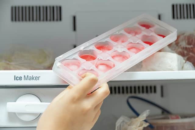 Freeze treats into ice cubes for dogs (photo: Adobe)
