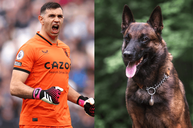 Emi Martinez bought a Belgian Malinois guard dog to protect his family in the West Midlands and his World Cup winner’s medal. (Photo - Getty & Adobe Stock images) 