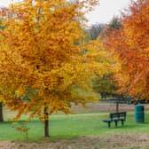 Grove Park in Harborne