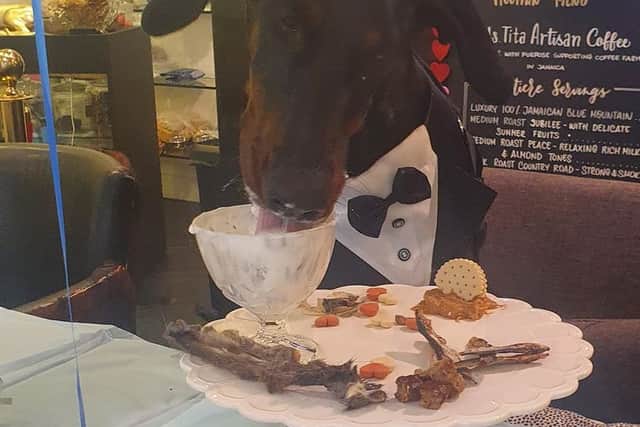 A pup tucks into a tasty treat at The Snooty Pooch Dog Cafe in Solihull