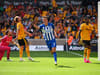 Wolves player ratings & report vs Brighton: Four score 3/10 but two earn 8s in humbling defeat - photo gallery