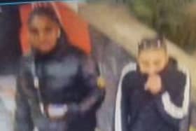 Police seek 2 people after girls attacked in Birmingham (Photo - West Midlands Police)