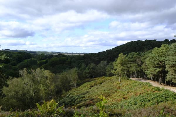 Six country parks in Birmingham rated (Photo - david hughes - stock.adobe.com)