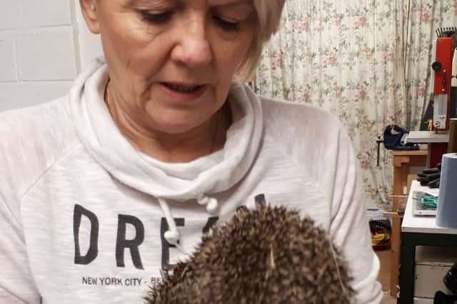 Sharon Baker from hedgehog rescue service Array4hogs in Birmingham