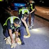 Police officers are not easily rattled when it comes to responding to unusual calls as they deal with a huge variety of incidents. (Photo - West Midlands Police / SWNS)