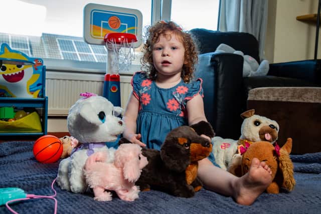 Daisy Grace Fagan, 4, from Nelson, Lancashire, left ‘scarred for life’ after being attacked by her neighbour’s dog as she played in a park