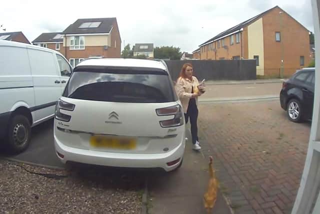 CCTV capturing the moment two dogs enter a family home in Chelmsley Wood