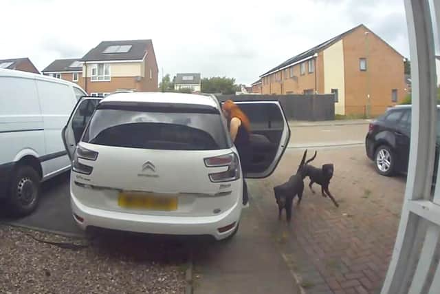 CCTV capturing the moment two dogs enter a family home in Chelmsley Wood