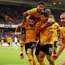 Wolves stunned league leaders Manchester City in their last outing. (Getty Images)