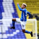 Lyle Taylor’s future at Sheffield Wednesday is now uncertain. (Photo by Marc Atkins/Getty Images)