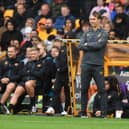 Julen Lopetegui was manager of Wolves until August 2022. He was replaced by Gary O’Neil. (Image: Getty Images)