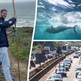 Scientists who satellite-tagged a tuna followed it up the M5 to Birmingham - after it was picked up by a tourist