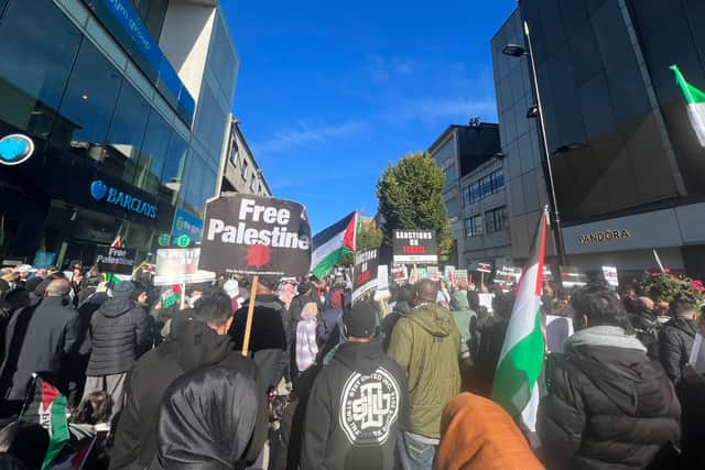 Palestine protest in Birmingham city centre (Photo -  Saf. @safbmalik/Twitter)