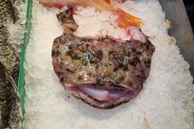 Monkfish head on offer for £18.99 a kilo