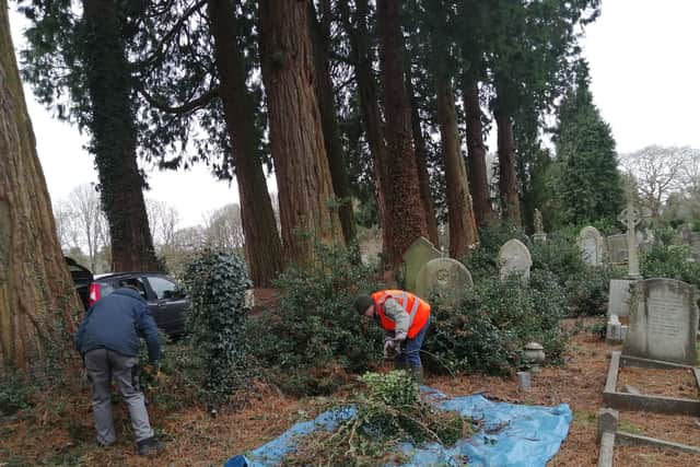 Volunteers remove ivy from graves at Brandwood End Cemetery in Kings Heath.