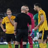 Wolves players protest a VAR call against Newcastle United (Image: Getty Images)