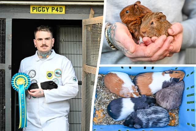 Jme Eglington from Coseley is one of the UK's only guinea pig beauty pageant judges