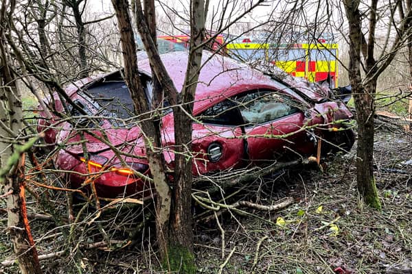 The smashed up Ferrari in trees alongside the M40 motorway