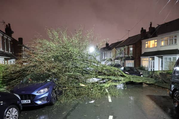 A huge tree has come down on Gristhorpe Road, Selly Oak, Birmingham and phone lines in the area are down during Storm Isha. 