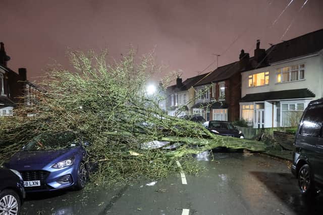 A huge tree has come down on Gristhorpe Road, Selly Oak, Birmingham and phone lines in the area are down during Storm Isha. 