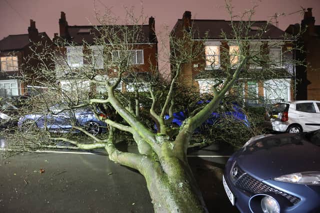 A huge tree has come down on Gristhrope Road, Selly Oak, Birmingham and phone lines in the area are down during Storm Isha.
