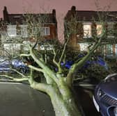 A huge tree has come down on Gristhorpe Road, Selly Oak, Birmingham and phone lines in the area are down during Storm Isha.