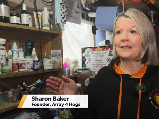 Sharon Baker from Array4Hog