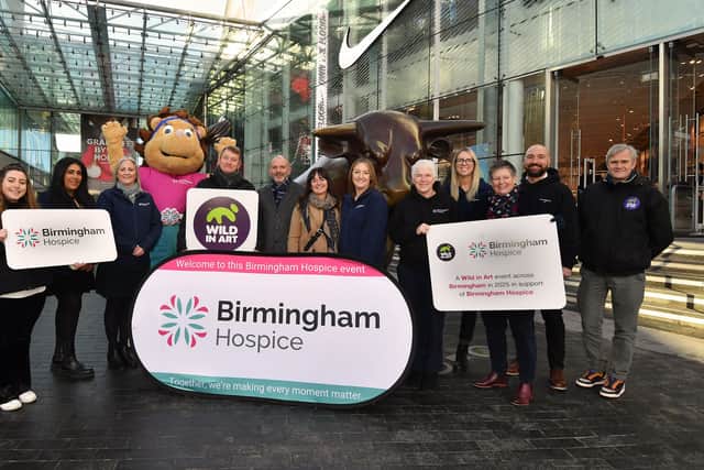 Birmingham Bull art trail to raise funds for Birmingham Hospice 