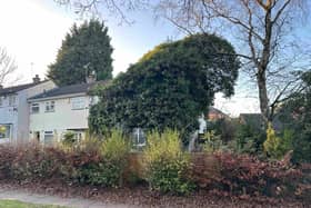 Overgrown trees hide family home with starting price of just £25k in Bond Wolfe auction
