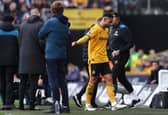 Matheus Cunha had to come off against Brentford. He won't feature for Wolves against Spurs but could be back in a few weeks. (Image: Getty Images)