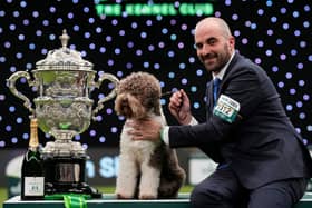 Last year saw Orca the Lagotto Romagnolo win the Crufts Best in Show award.