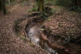 This wild and mysterious place, located at 264 Wake Green Road, was an inspiration for J.R.R. Tolkien growing up in Birmingham. The Old Forest in his books The Hobbit and The Lord of The Rings, draws from the enchanting landscape of Moseley Bog. 
