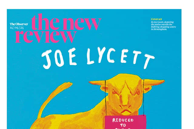 Joe Lycett - Observer New Review