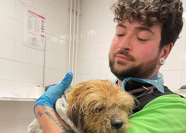Staff at Birmingham Dogs Home in Wolverhampton with rescued pooch Oliver after his rescue wash