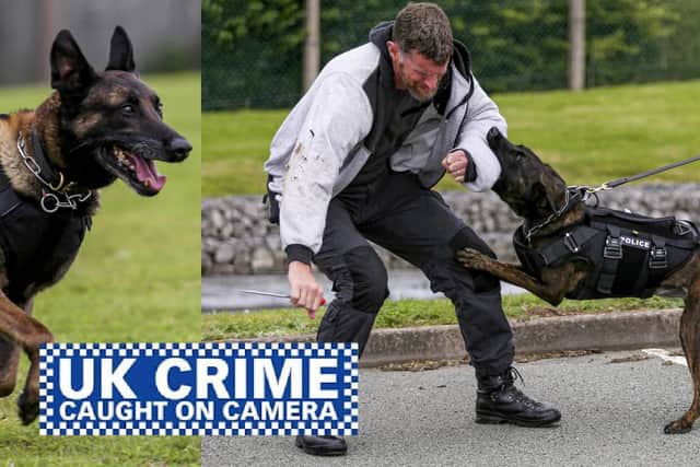 Shots! TV documentary about hero Police Dogs across the UK