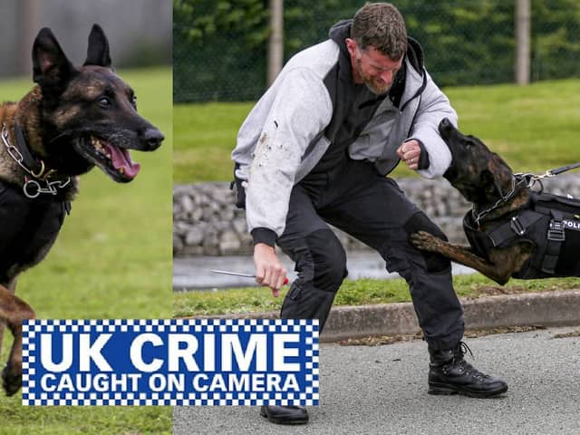 Shots! TV documentary about hero Police Dogs across the UK