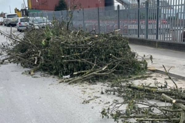 Branches and hedge trimmings are strewn across the road in Birmingham, after a fly-tipper dumped a truck full of the debris onto the road on May 4, 2024