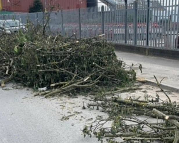 Branches and hedge trimmings are strewn across the road in Birmingham, after a fly-tipper dumped a truck full of the debris onto the road on May 4, 2024
